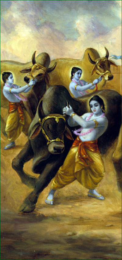 Krishna Taming Bulls