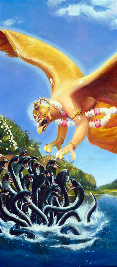 Garuda Attacks