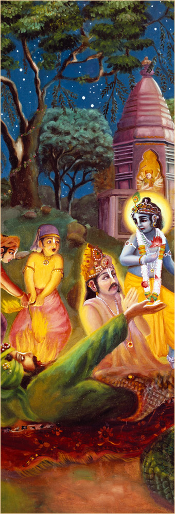 Vidyadhara, Nanda Maharaja, Krishna